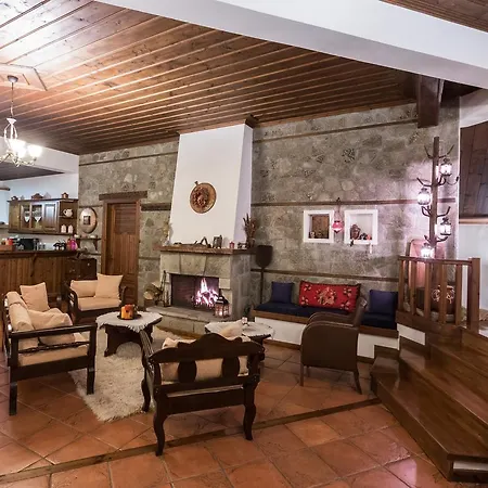 Ligeri Hotel Elati (Trikala)