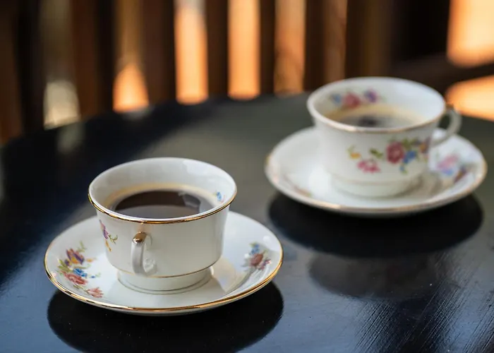 Отель Ligeri Elati (Trikala)