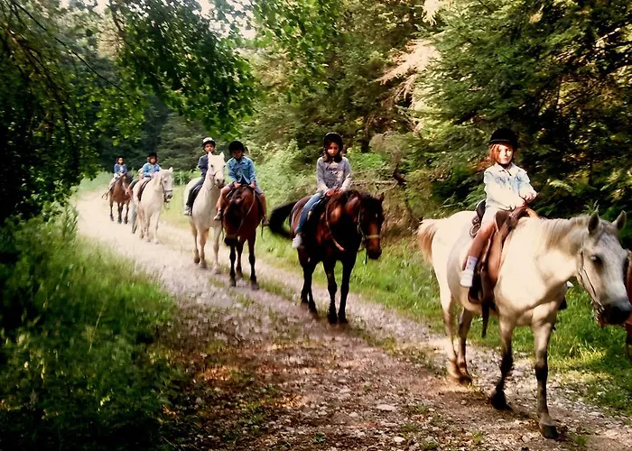 Отель Ligeri 3*