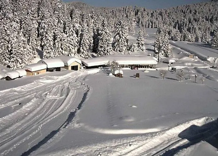 Отель Ligeri Elati (Trikala)